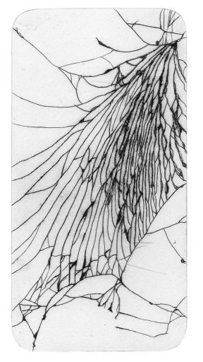 Alanna - image: Sam Hodge